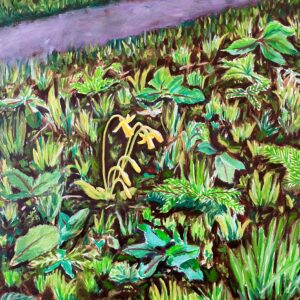 Spring '26: the very beginning