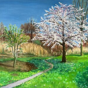 Spring '26: Cherry blossom